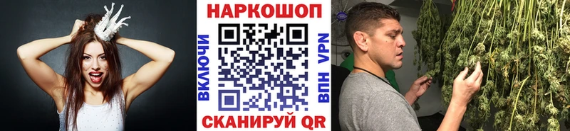Купить закладку Городище МАРИХУАНА  СК  ГАШ  Галлюциногенные грибы  Кокаин 