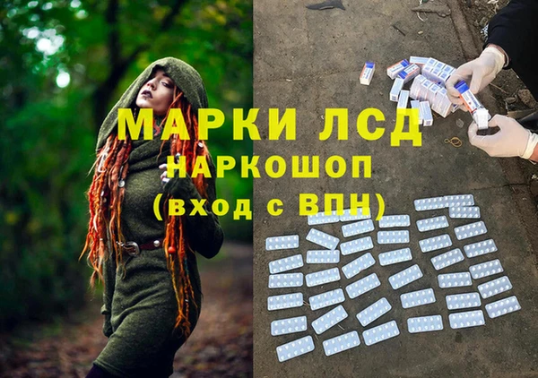 спайс Строитель