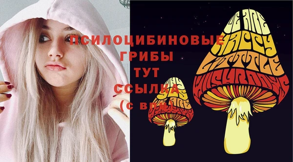 спайс Строитель