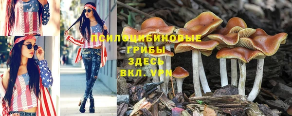 прущие крисы Ступино