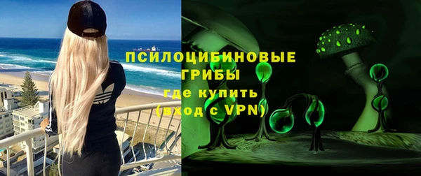 твердый Струнино