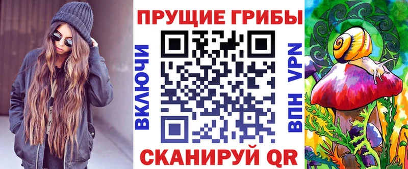 ОМГ ОМГ ONION  Городище  Галлюциногенные грибы мицелий 